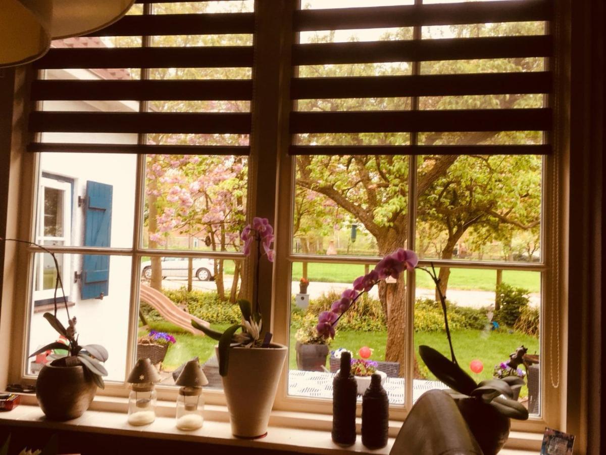 Wijdewormer B&B Marialin المظهر الخارجي الصورة